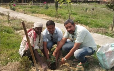 FLOWER PLANTATION IN COLLEGE GARDEN